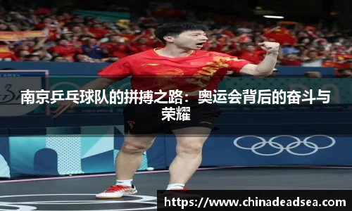 南京乒乓球队的拼搏之路：奥运会背后的奋斗与荣耀