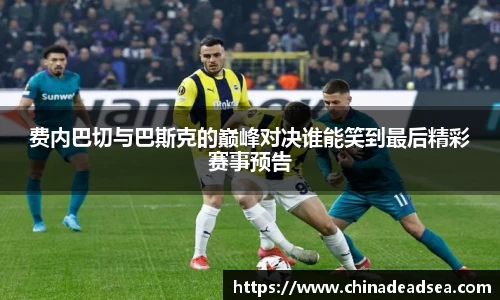费内巴切与巴斯克的巅峰对决谁能笑到最后精彩赛事预告