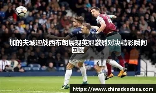加的夫城迎战西布朗展现英冠激烈对决精彩瞬间回顾