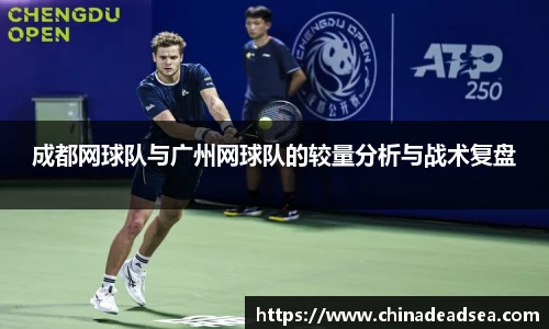 星空电子首页网站