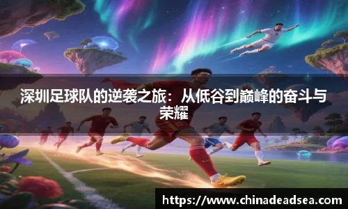 星空电子首页网站