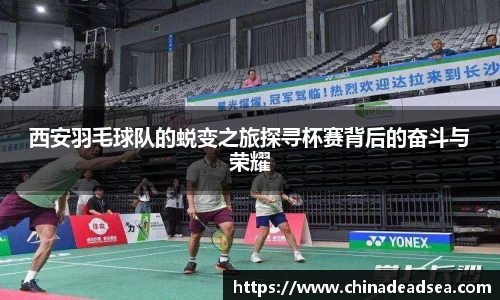 西安羽毛球队的蜕变之旅探寻杯赛背后的奋斗与荣耀