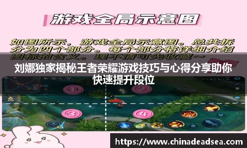 星空电子首页网站