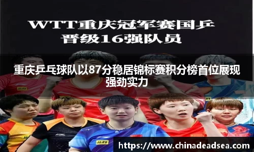 星空电子首页网站